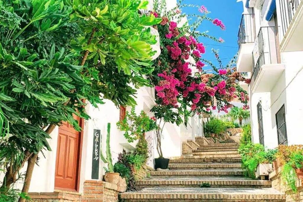 Casa La Romana سالوبرينيا المظهر الخارجي الصورة